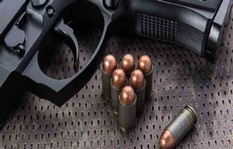 www feo system com login|Firearms and Explosives Office .